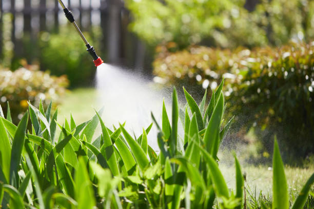 24/7 Emergency Wasp Removal experts in Austintown, OH