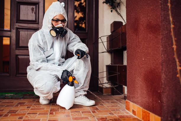 Reliable Wasp Removal contractor in Austintown, OH by Show Me Pest Control